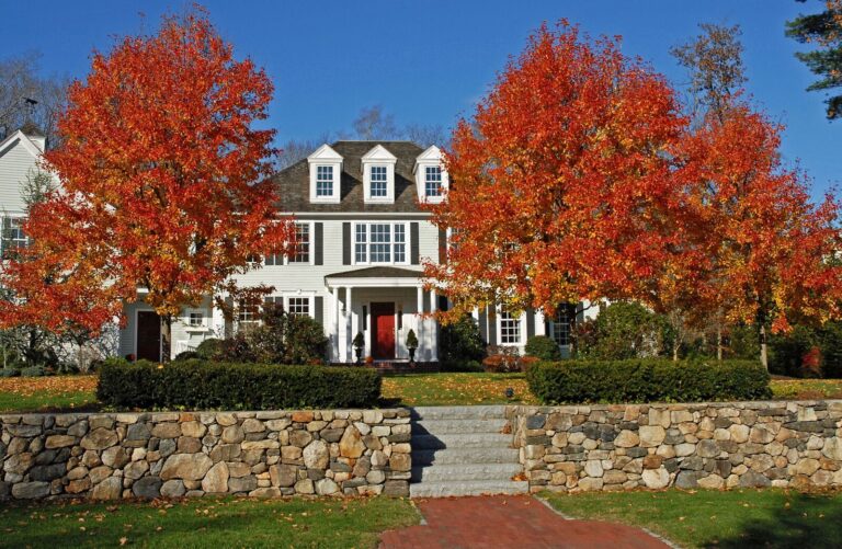 8 Essentials to Increase the Livability of Your Outdoor Retreat