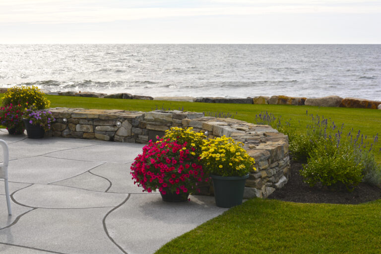 Transform Your Outdoor Space with Summer Blooms