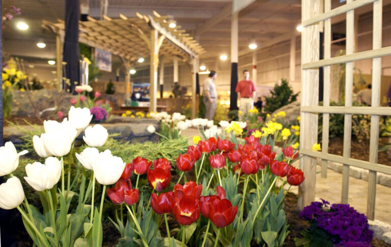 Original Western Mass Home Show Features Something for Everyone